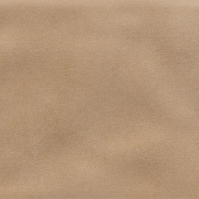 Iris Camel MA
