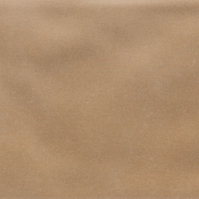 Iris Camel MA