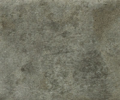 Magma Agave EXT