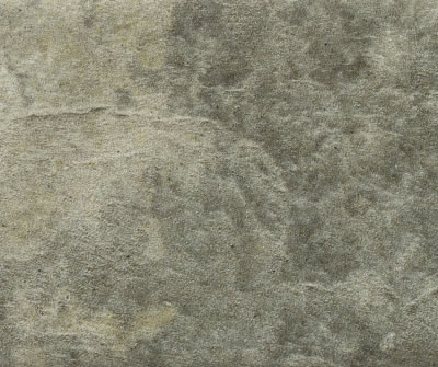 Magma Agave EXT