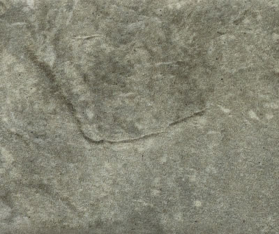 Magma Agave EXT