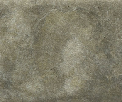 Magma Agave EXT