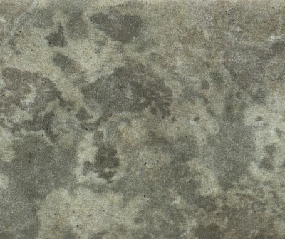 Magma Agave EXT