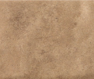 Magma Camel EXT