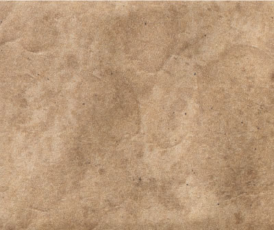 Magma Camel EXT
