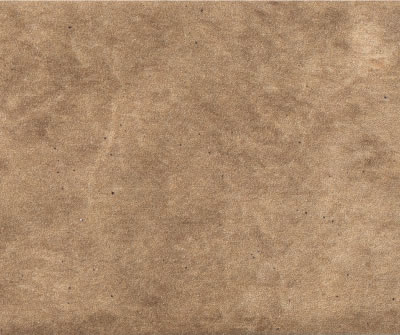 Magma Camel EXT