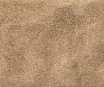 Magma Camel EXT
