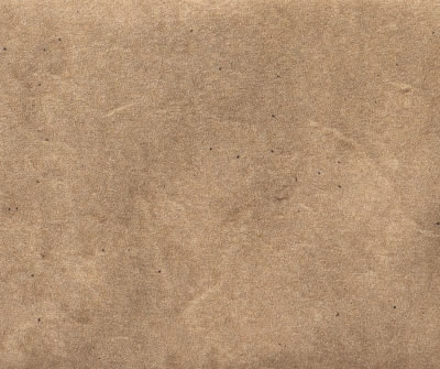 Magma Camel EXT