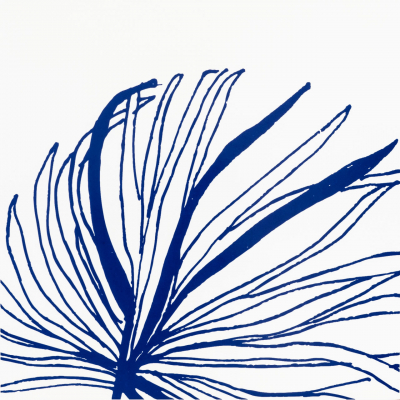 Patch Floripa Azul BR