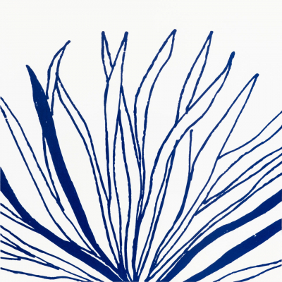 Patch Floripa Azul BR