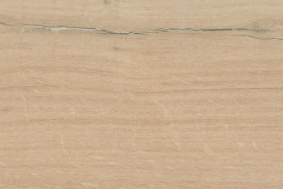 Zanzibar Camel AC