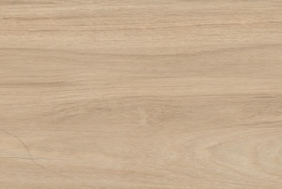 Zanzibar Camel AC