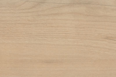 Zanzibar Camel AC