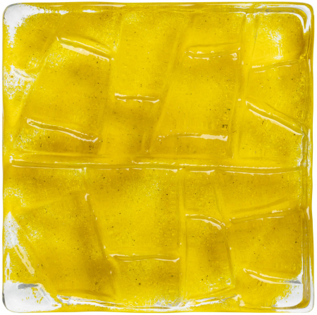 Carol Gay Flora Amarelo