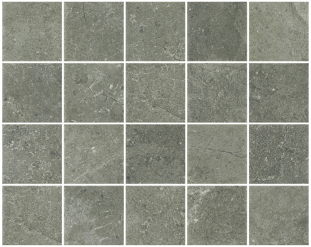 Maui Agave Mesh EXT
